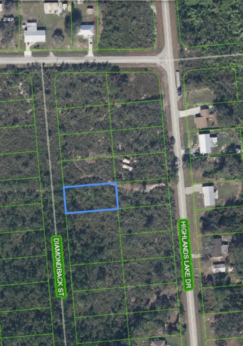 651 Mckinley Street, Lake Placid FL 33852 photo 4