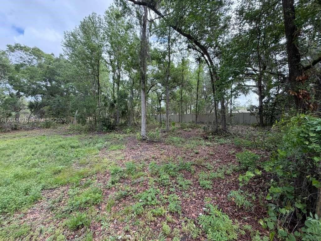 0 BAILEY RD, Other City - In The State Of Florida FL 33860 photo 4
