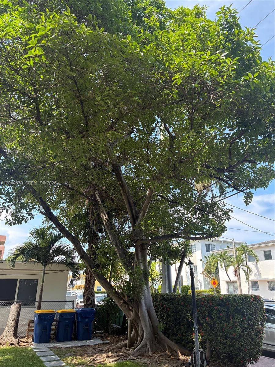 8020 Abbott Ave # 6, Miami Beach FL 33141 photo 2