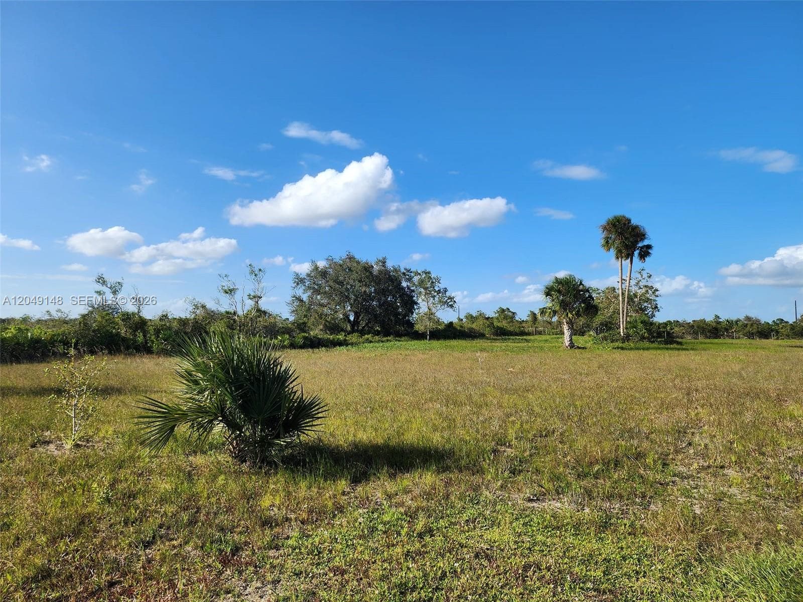 18717 NW 258 st, Okeechobee FL 34972 photo 5