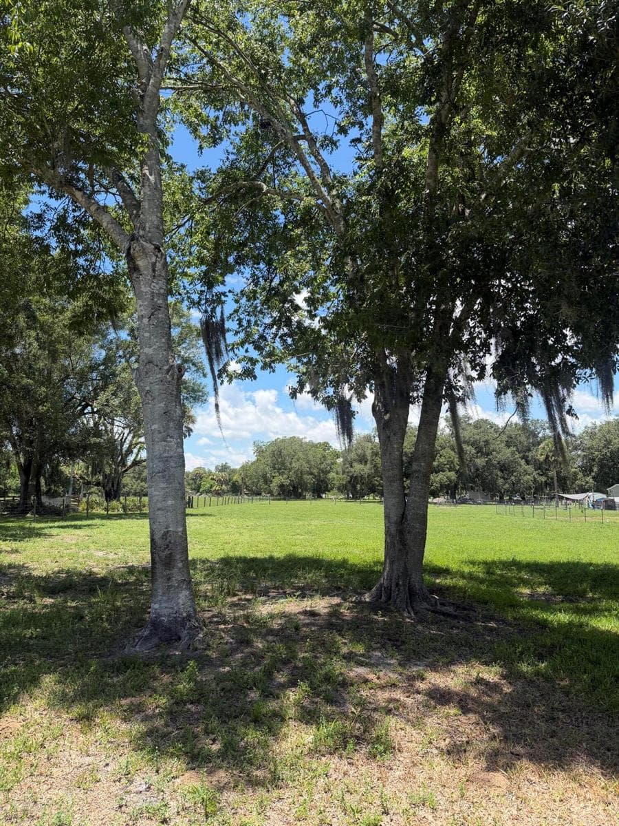 0 NE 28th Avenue, Okeechobee FL 34972 photo 3
