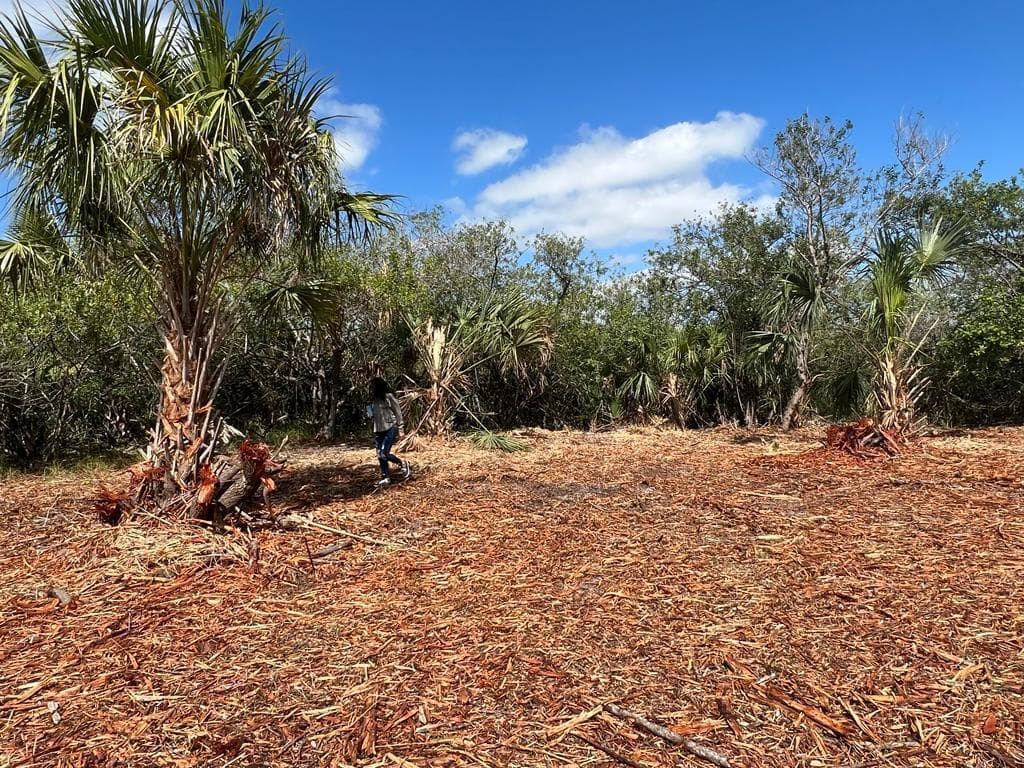 2182 Sparta Avenue SW, Palm Bay FL 32908 photo 3