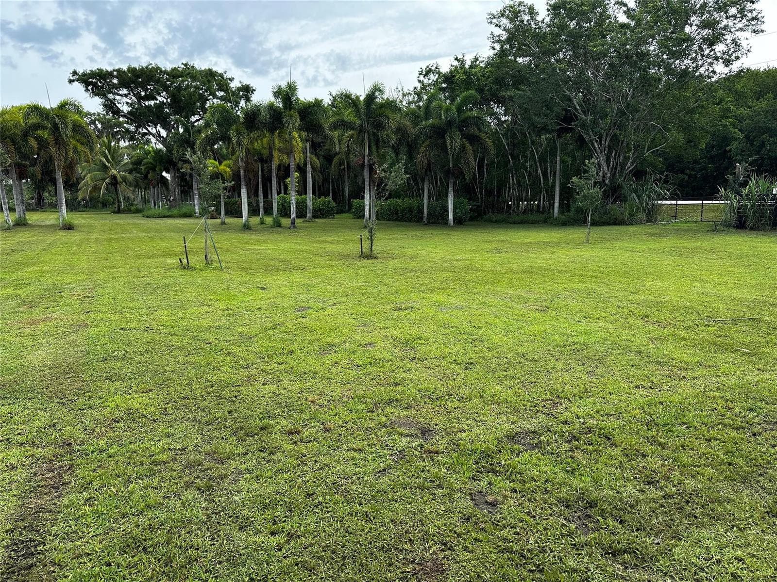 15600 SW Conners Highway, Okeechobee FL 34974 photo 4