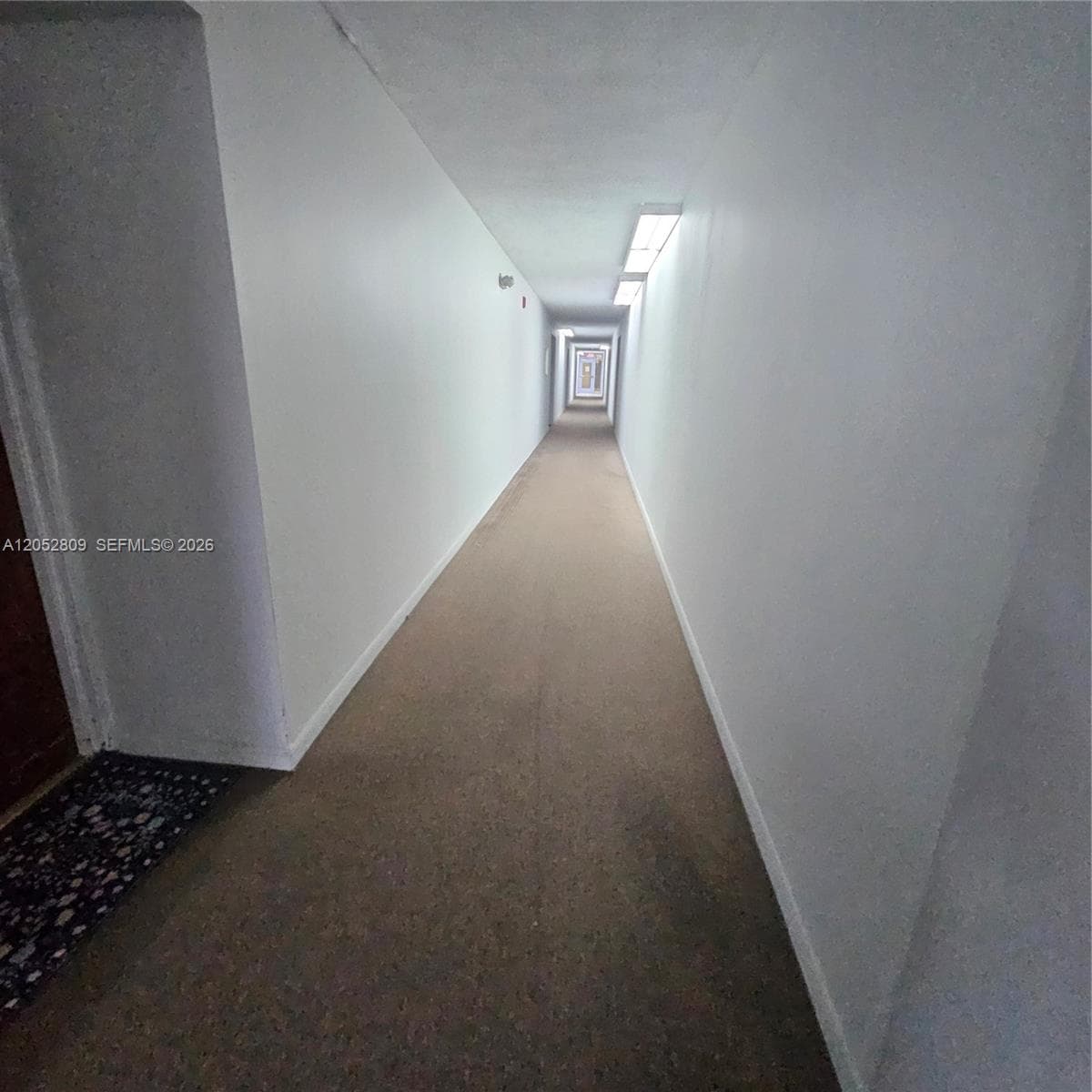 11790 SW 18th St # 3, Miami FL 33175 photo 5
