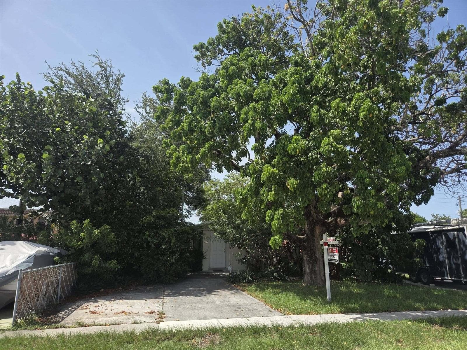 207 SE 7th Street, Dania Beach FL 33004 photo 3