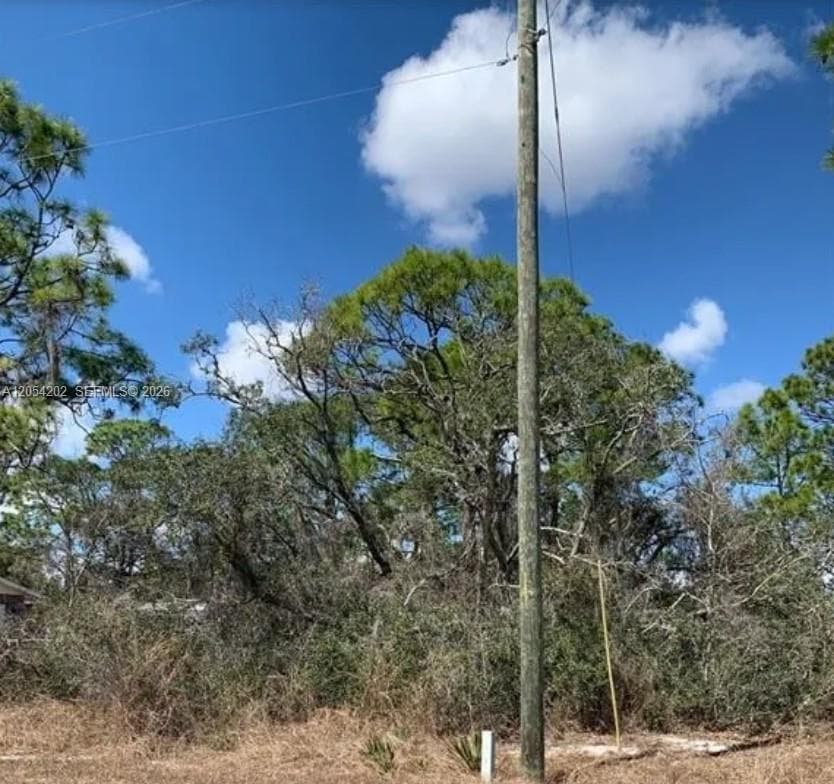 223 E Canal Way, Lake Placid FL 33852 photo 4