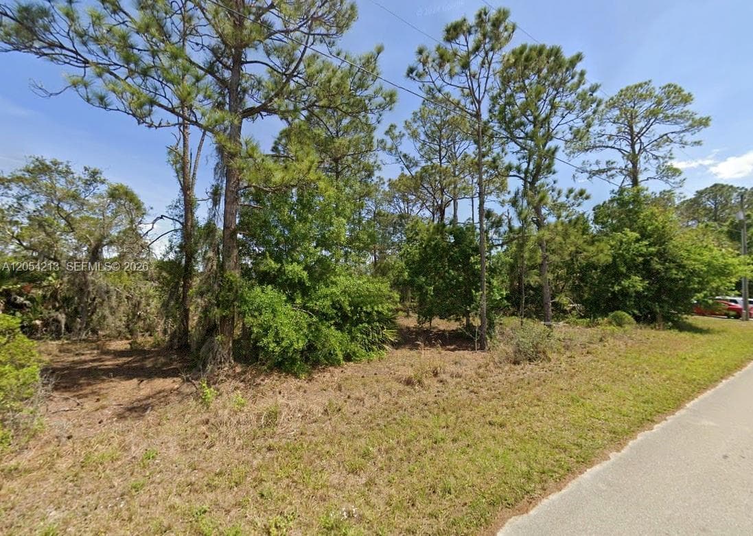 120 Enos Ave, Lake Placid, FL 33852 photo 2