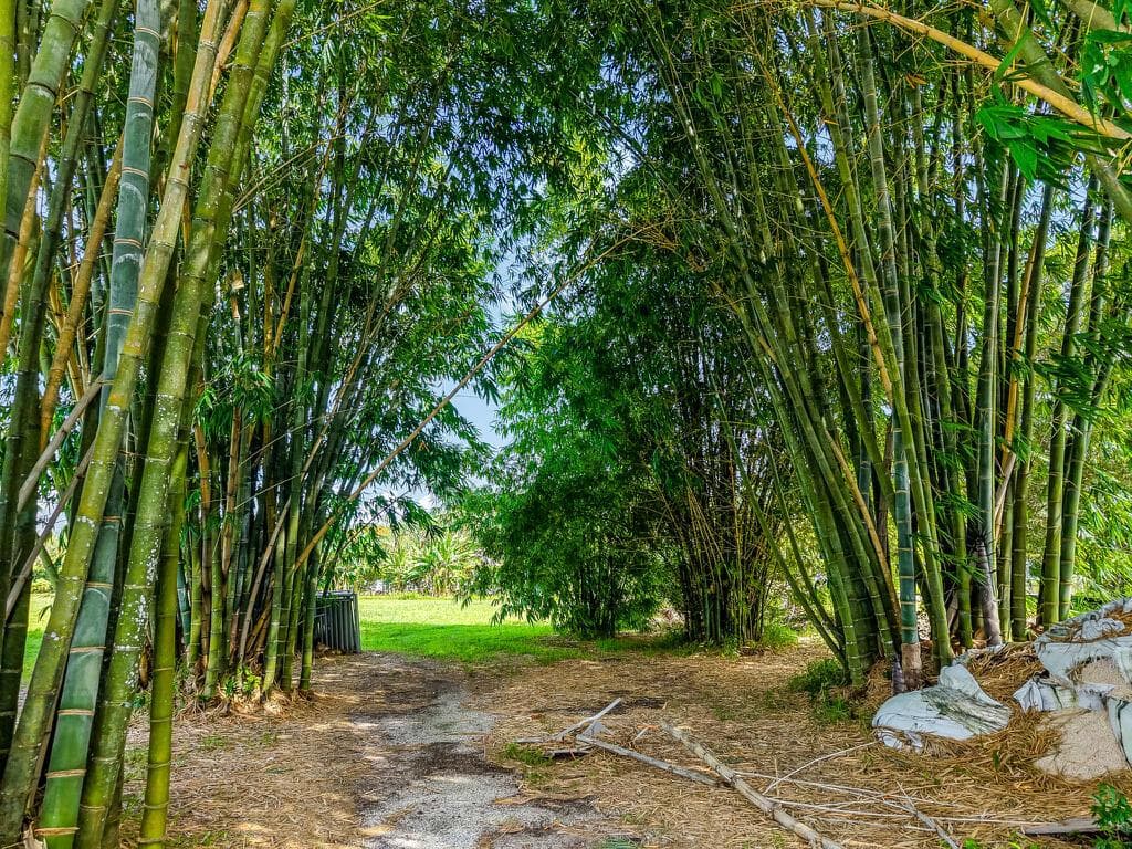 6250 SW 180TH Terrace, Southwest Ranches FL 33331 photo 4