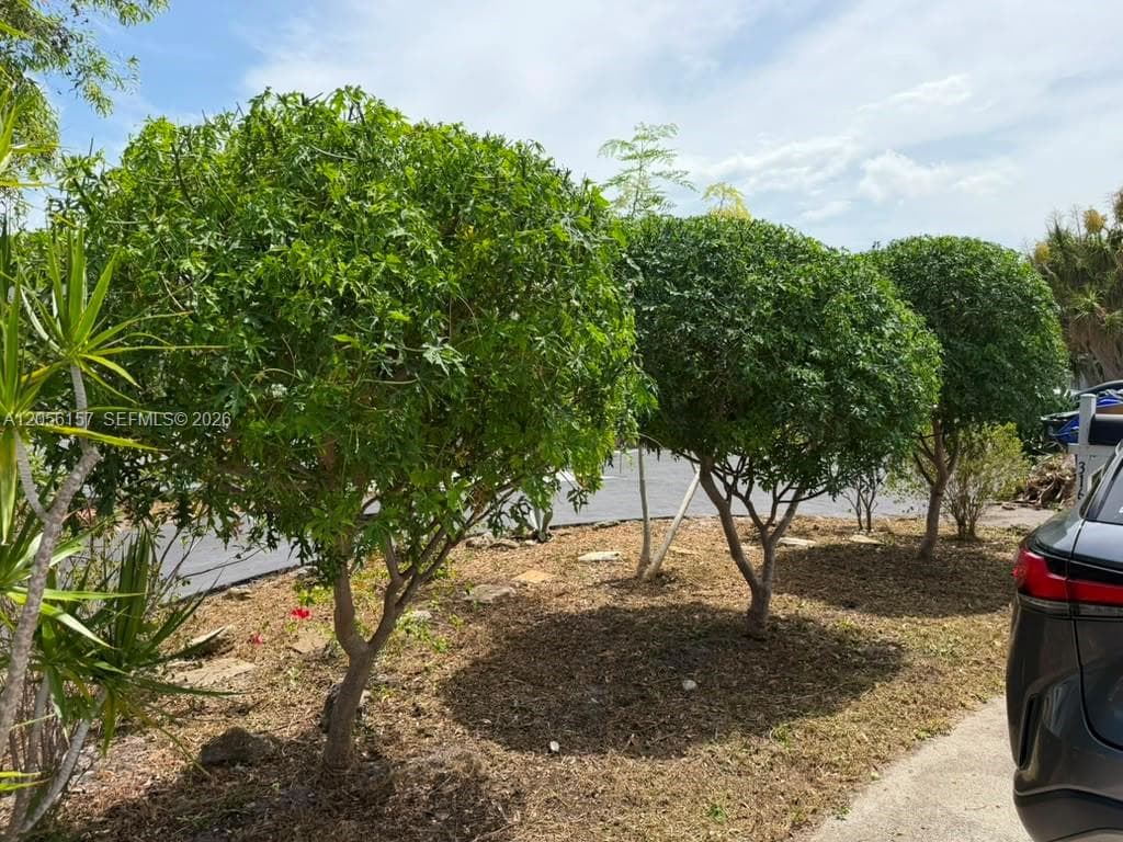 3160 NW 63rd St, Fort Lauderdale FL 33309 photo 3