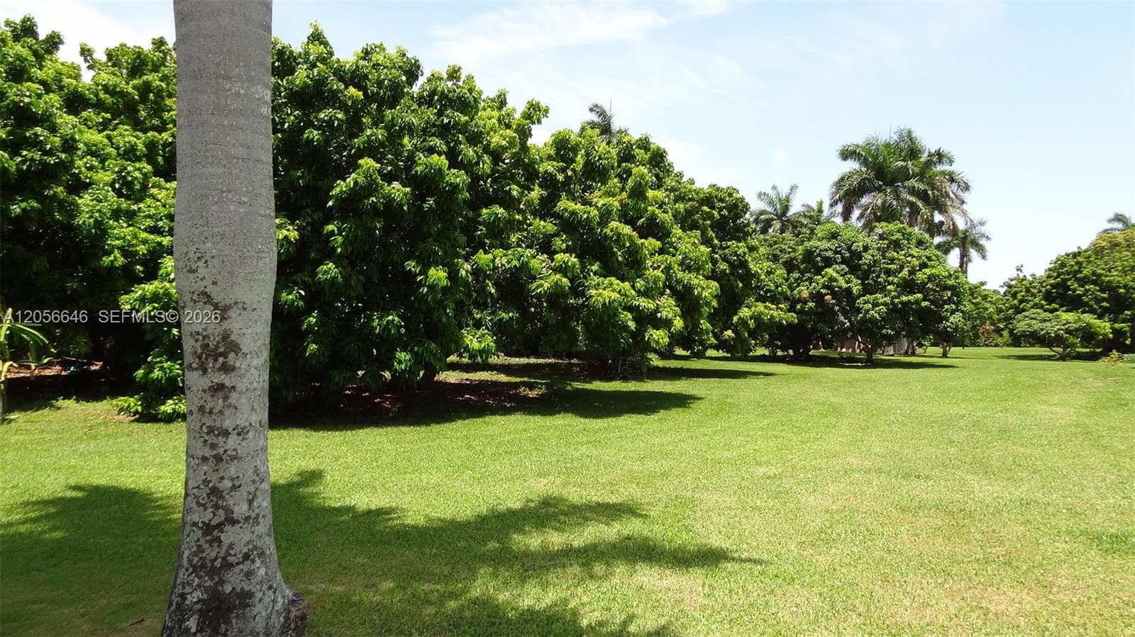 4 Av NE 152 St, Biscayne Gardens FL 33162 photo 2