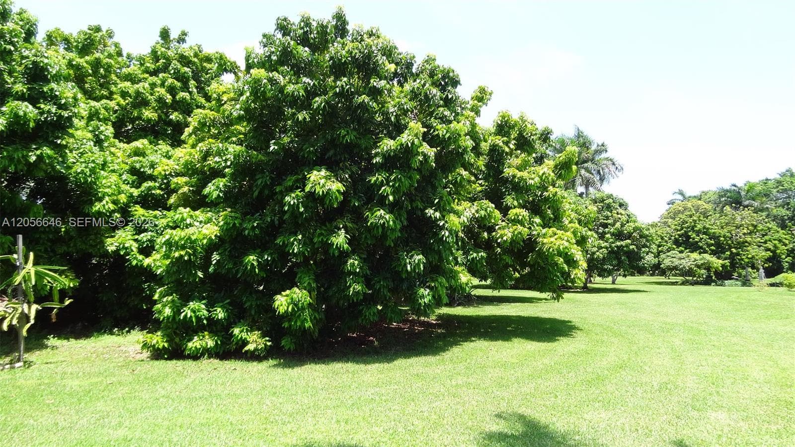 4 Av NE 152 St, Biscayne Gardens FL 33162 photo 3