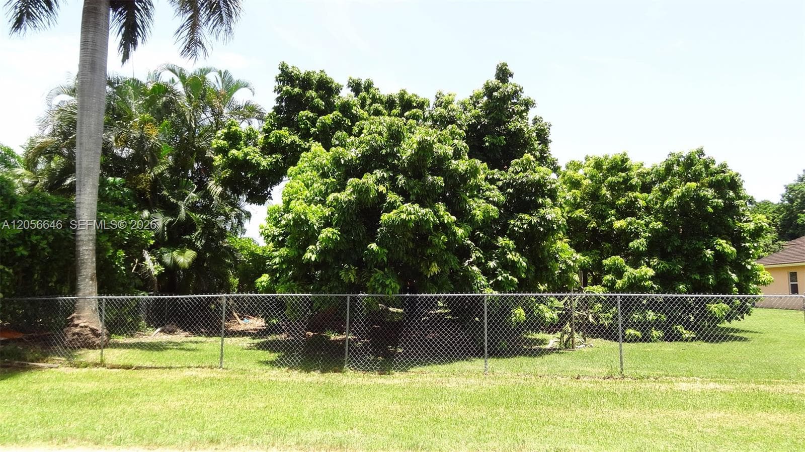 4 Av NE 152 St, Biscayne Gardens FL 33162 photo 5