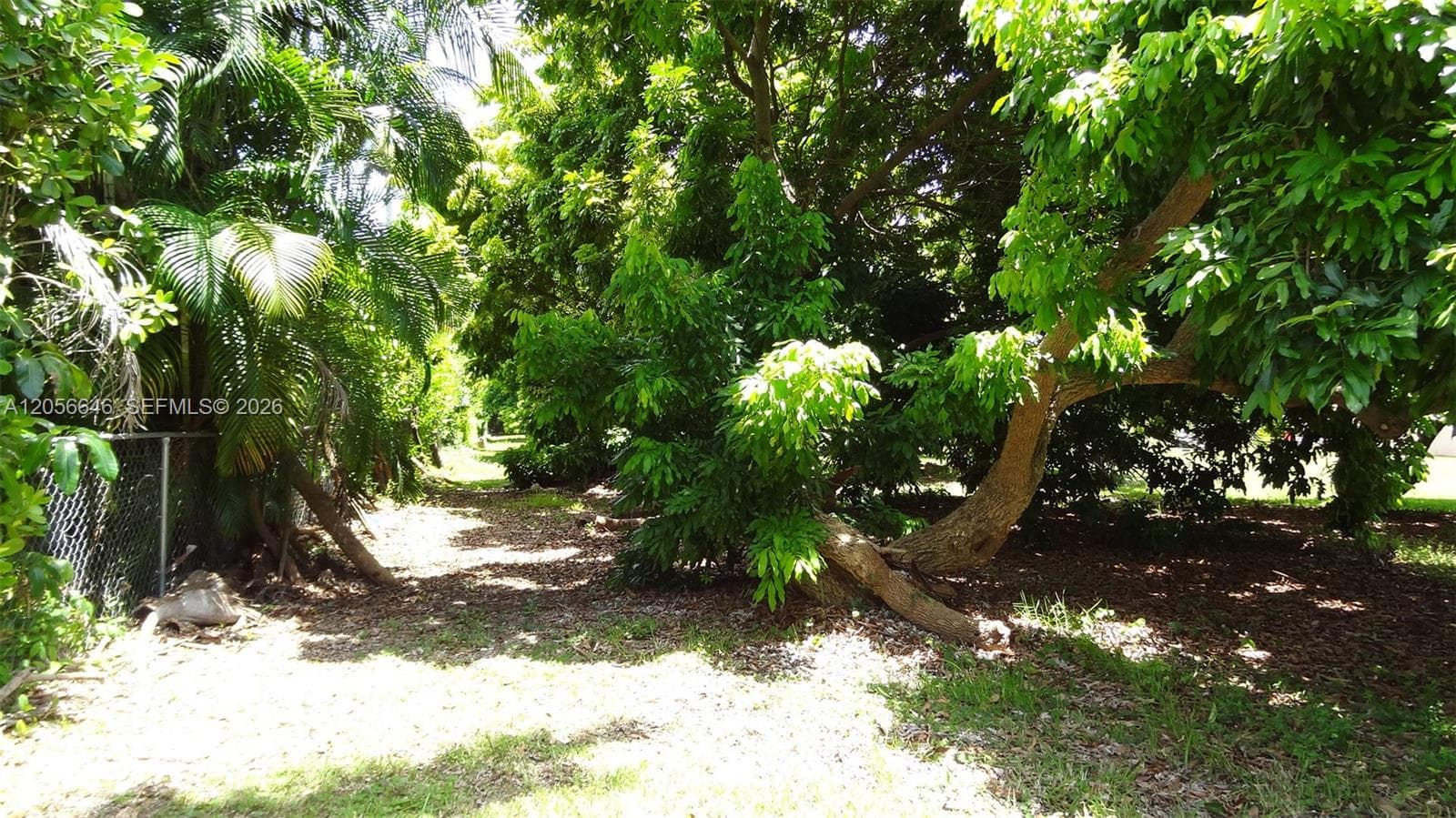 4 Av NE 152 St, Biscayne Gardens FL 33162 photo 4
