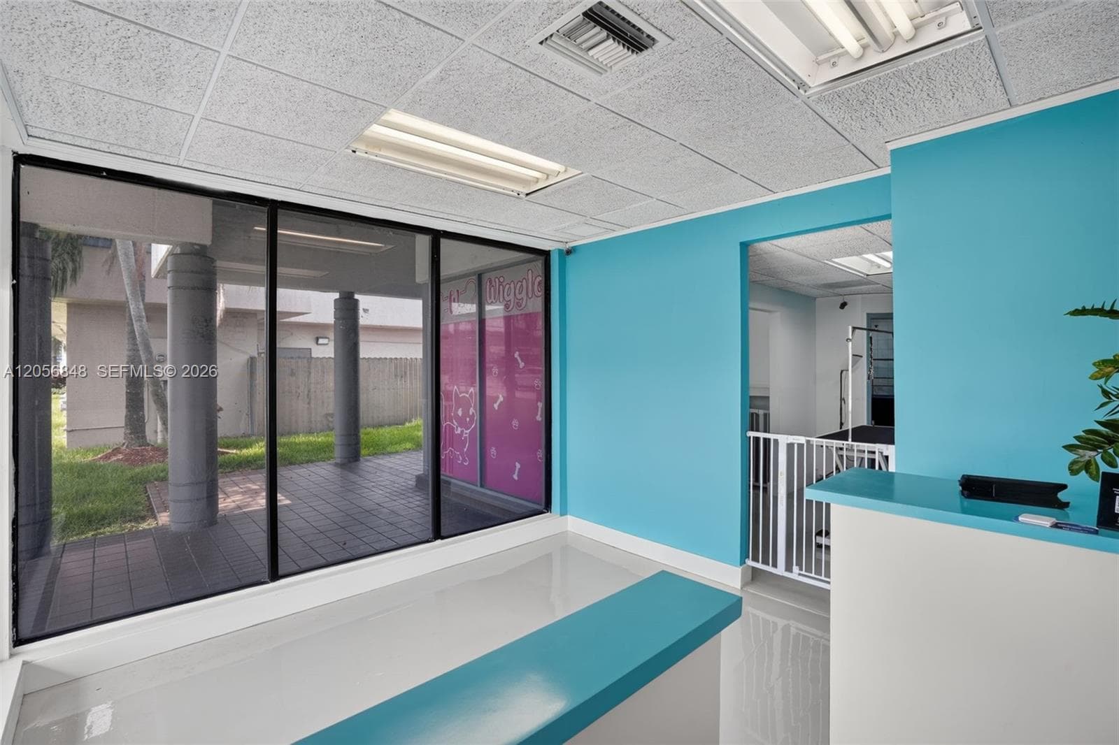 Dog Grooming Shop for Sale in Miami, Miami FL 33173 photo 5