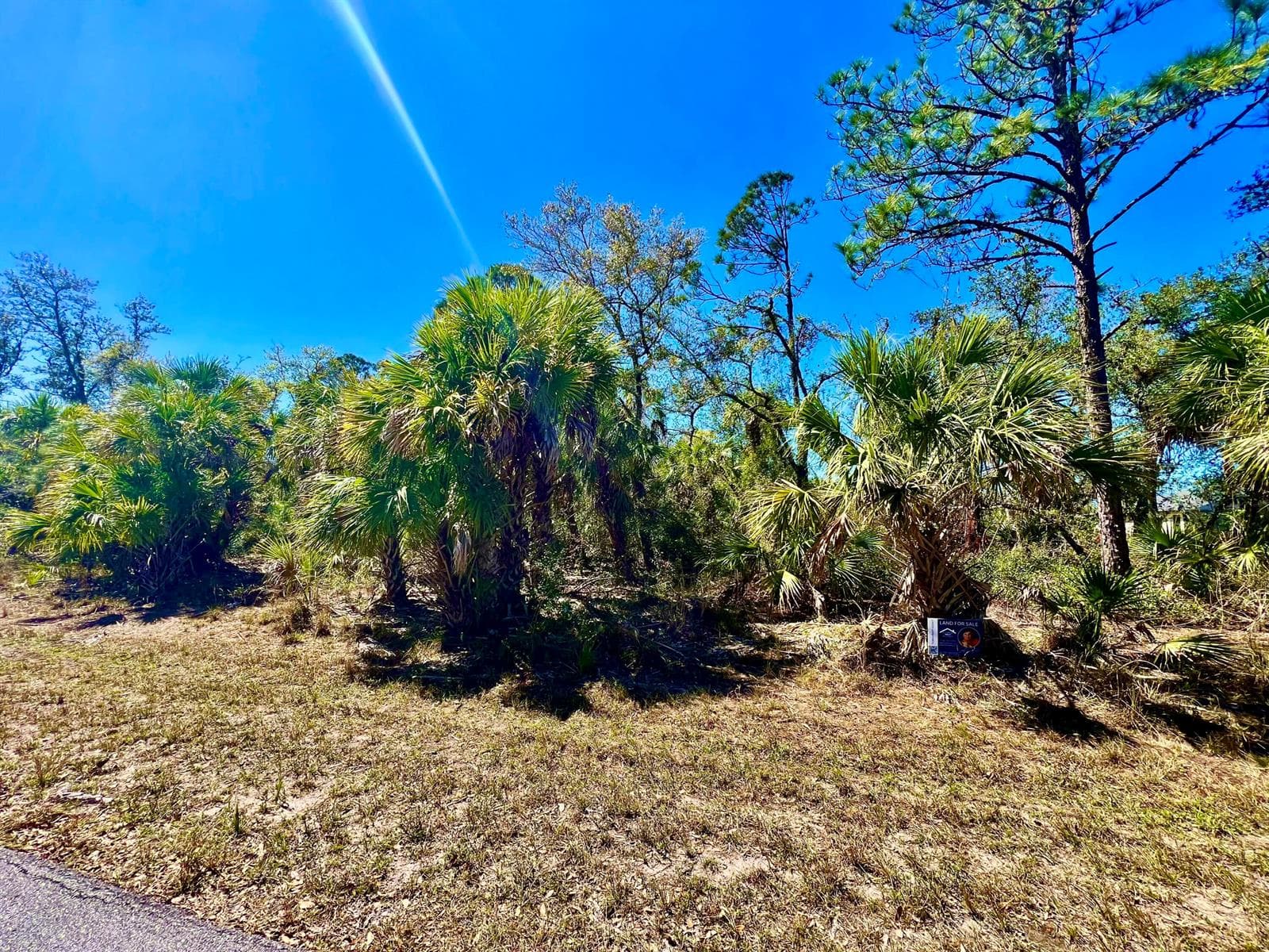 441 Juper Street, Port Charlotte FL 33953 photo 3