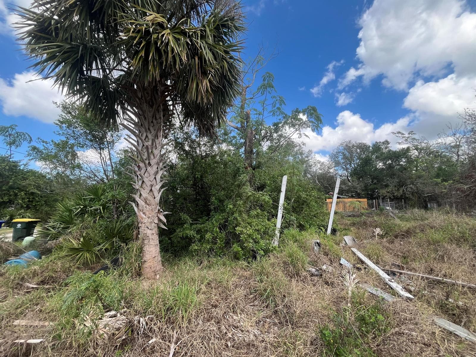 3608 Smithtown Road, Sebring FL 33876 photo 2