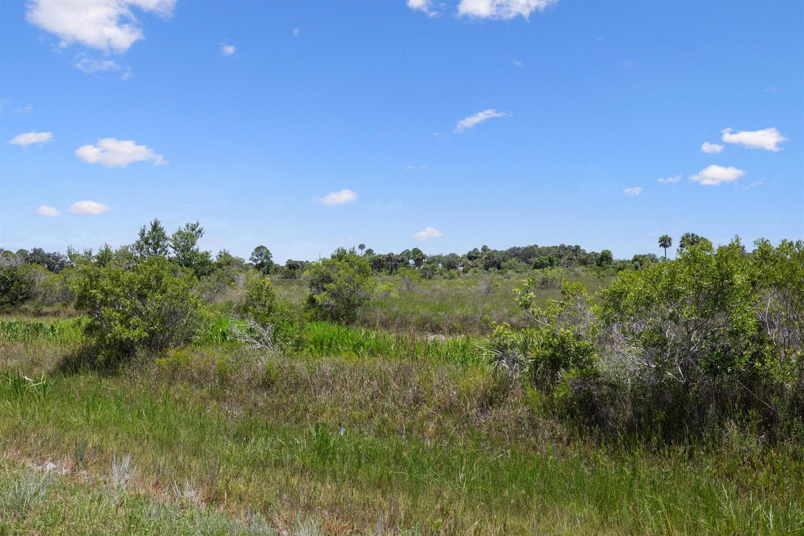 14932 NW 280TH Street, Okeechobee FL 34972 photo 2