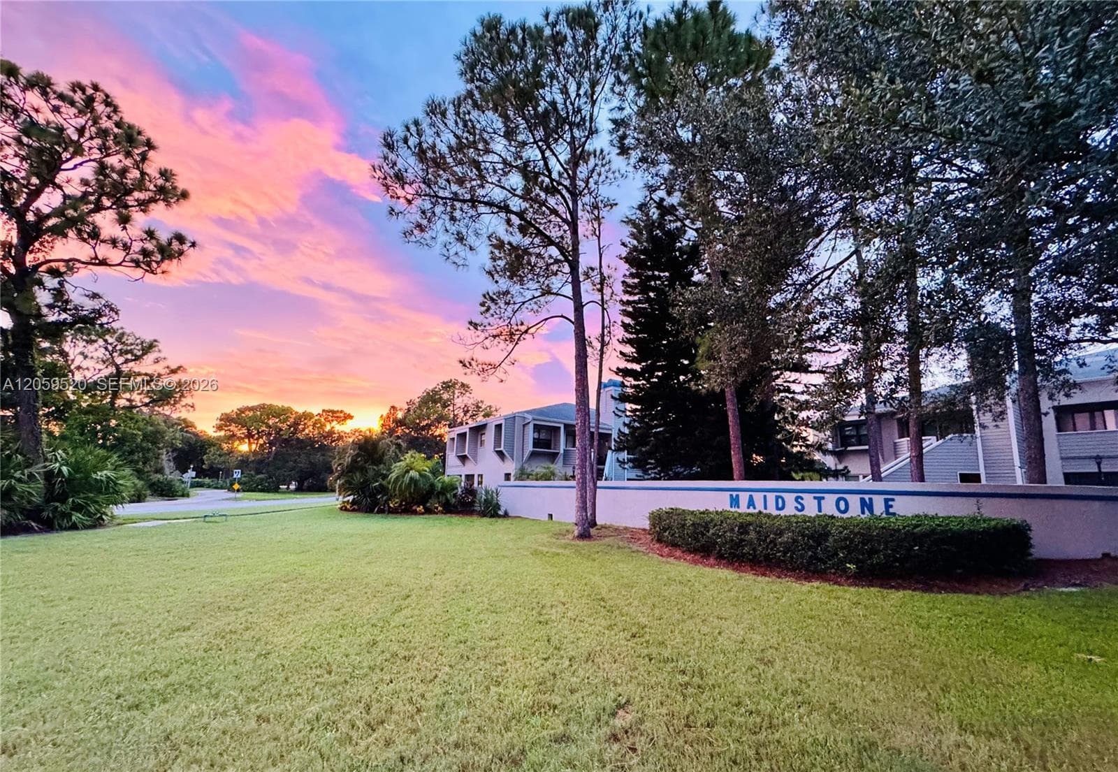 8707 Bardmoor Pl # 101, Seminole FL 33777 photo 3