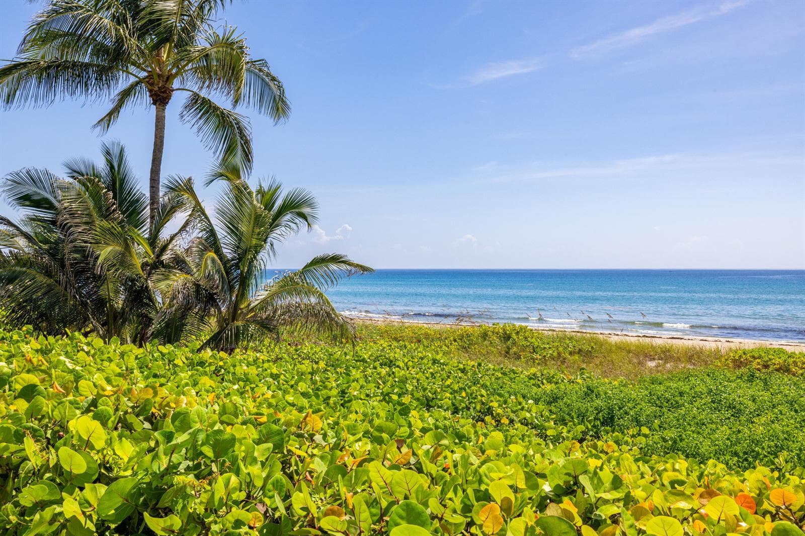 2565 S Ocean Boulevard # 103N, Highland Beach FL 33487 photo 3