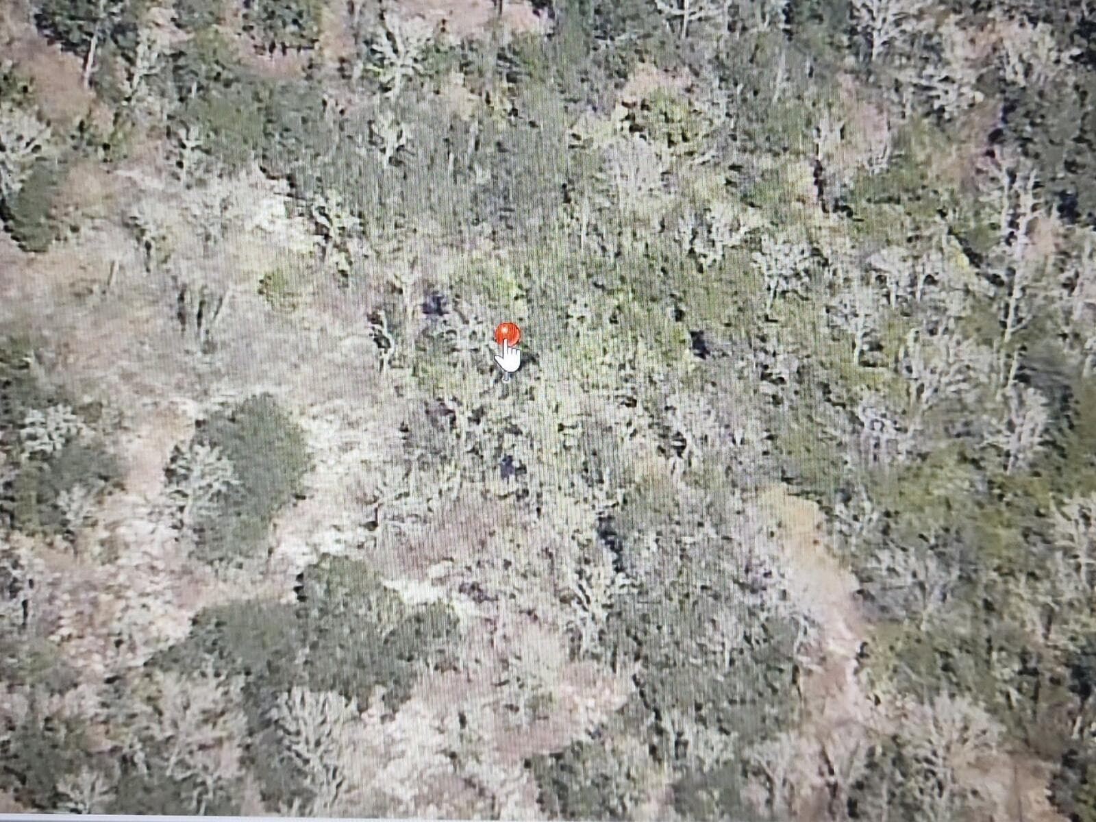 000 SW Paradise Heights Road, FL 34431 photo 2