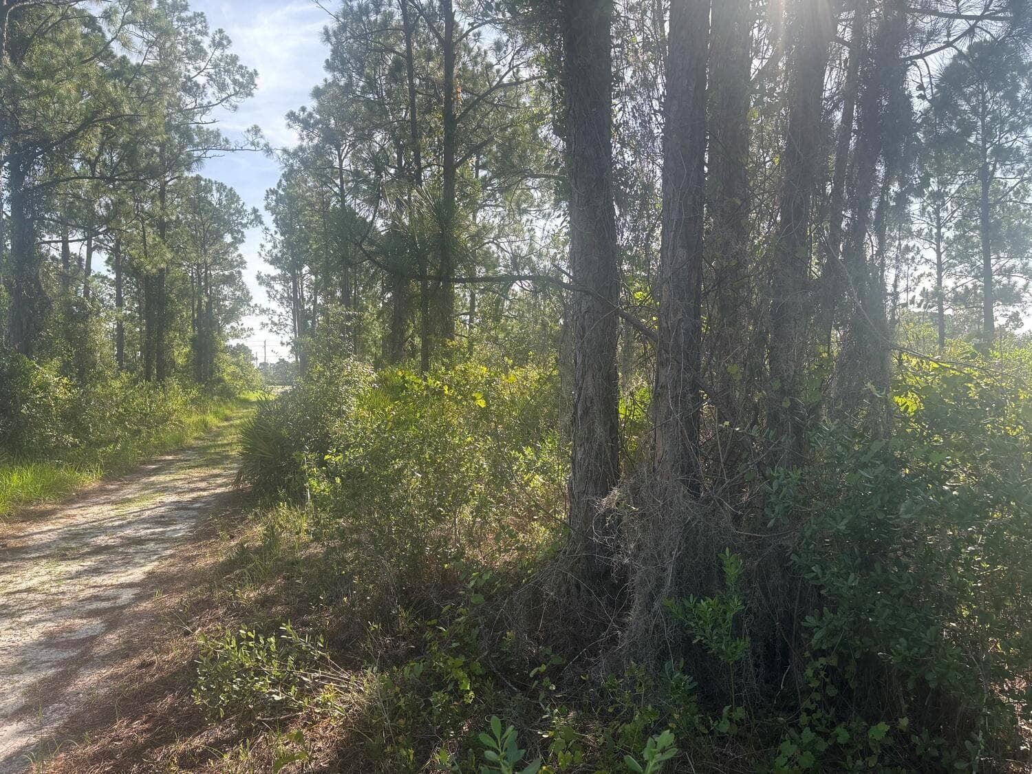 1021 Granger Street, Lake Placid FL 33852 photo 3