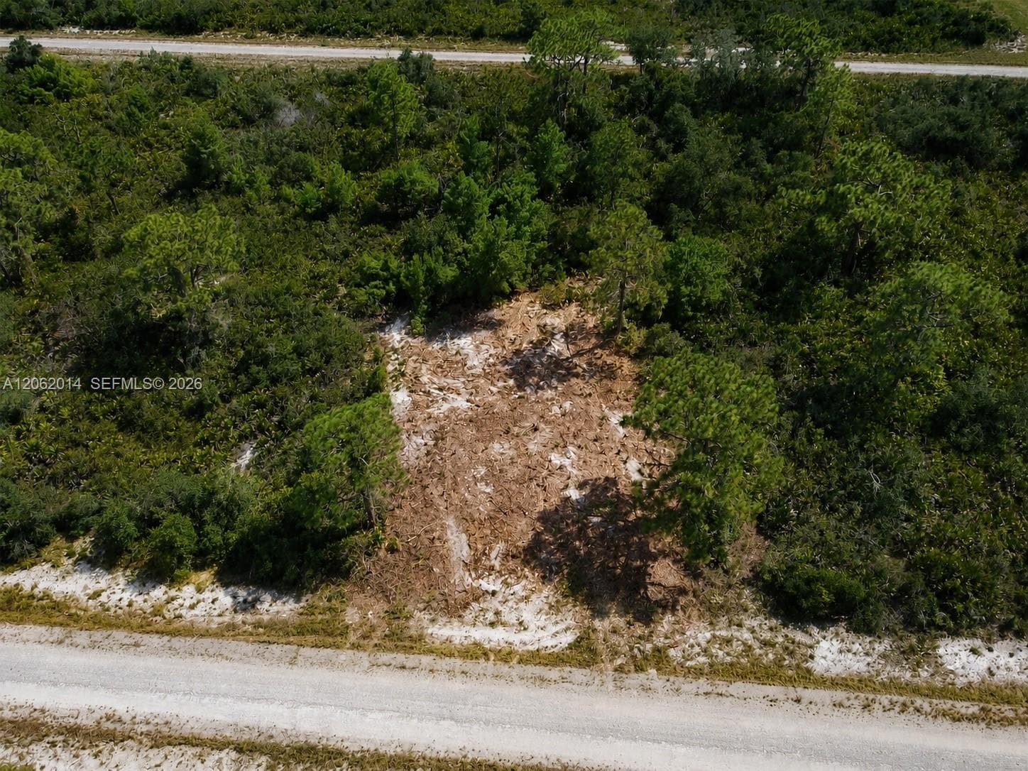 3554 MARIANA AVE, Lake Placid FL 33852 photo 2