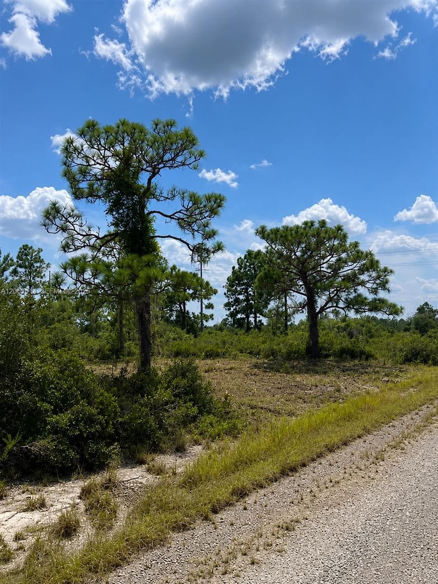 3554 MARIANA AVE, Lake Placid FL 33852 photo 3