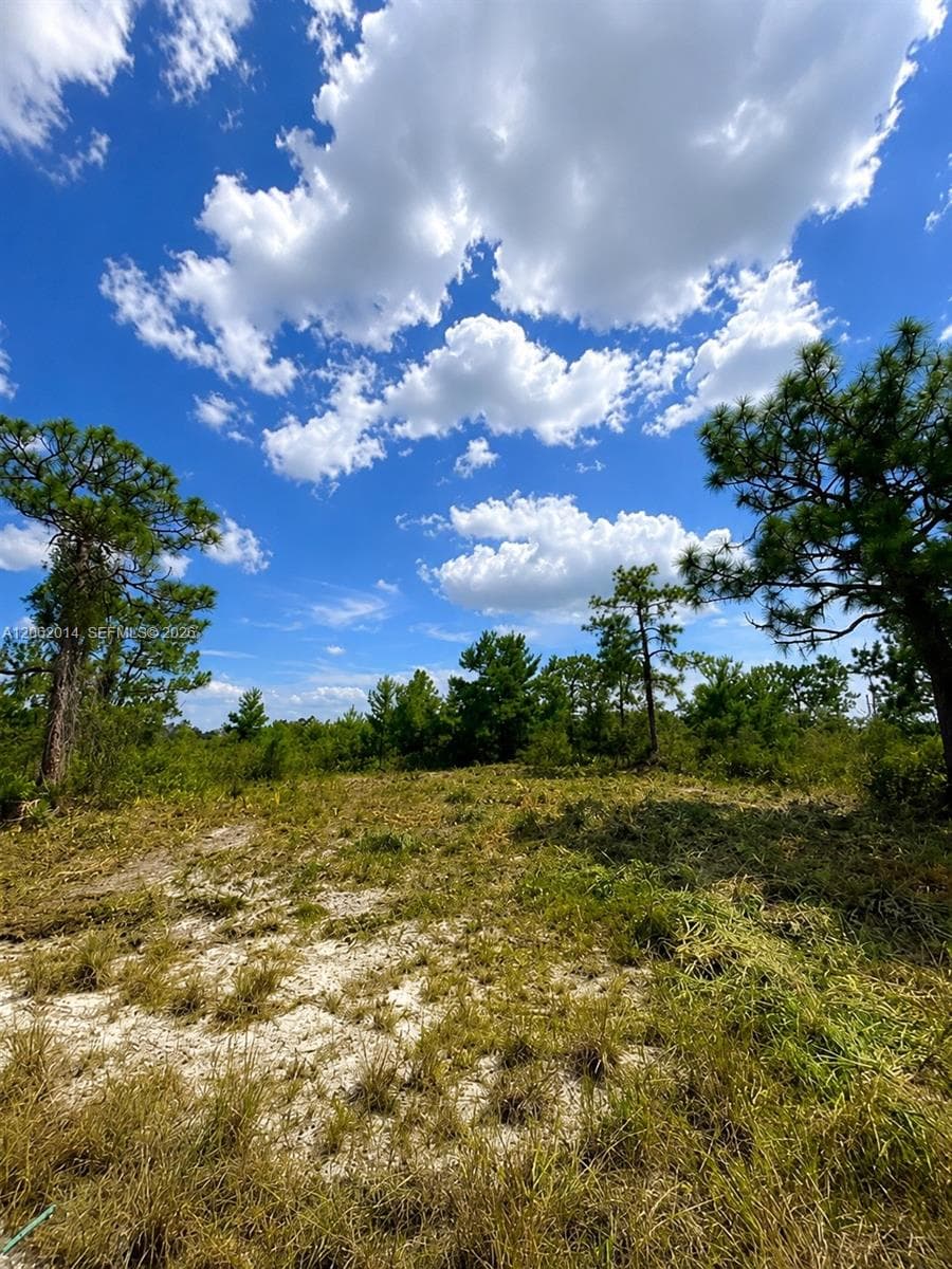 3554 MARIANA AVE, Lake Placid FL 33852 photo 4