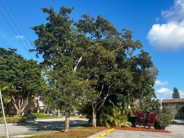 10332 SUNRISE LAKES Boulevard # 111, Sunrise FL 33322