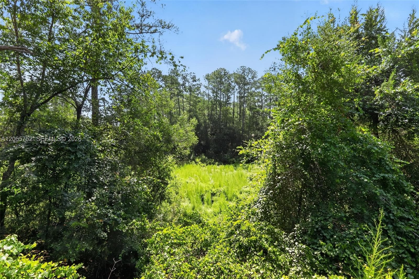 119 Ramsey dr, Other City - In The State Of Florida FL 32666 photo 3