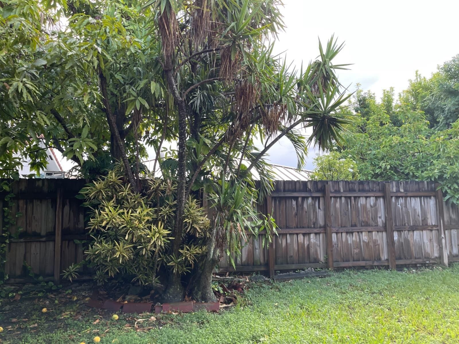 4874 SW 142nd Place, Miami FL 33175 photo 5