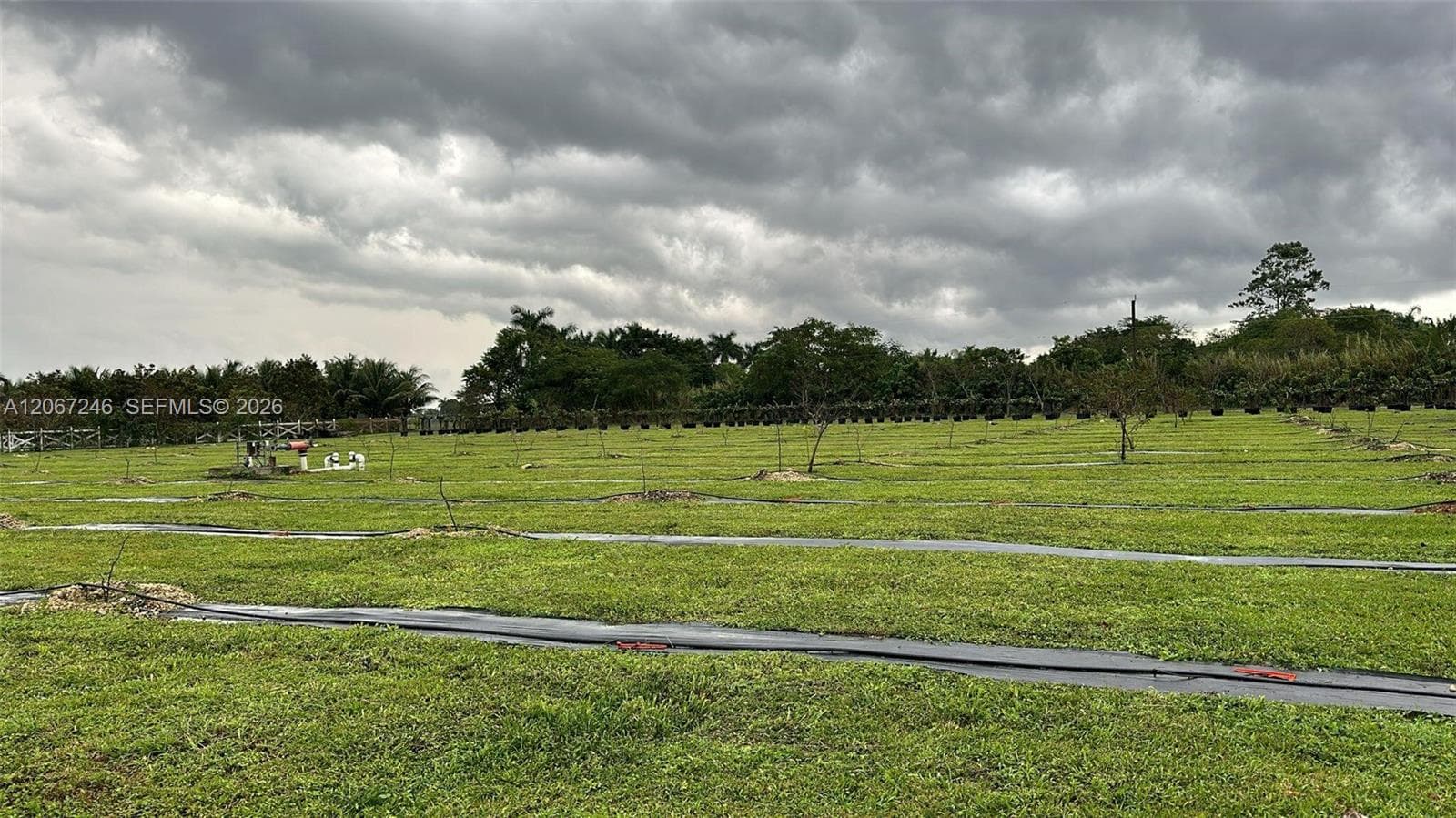 22901 SW 218 Ct, Miami FL 33170 photo 4