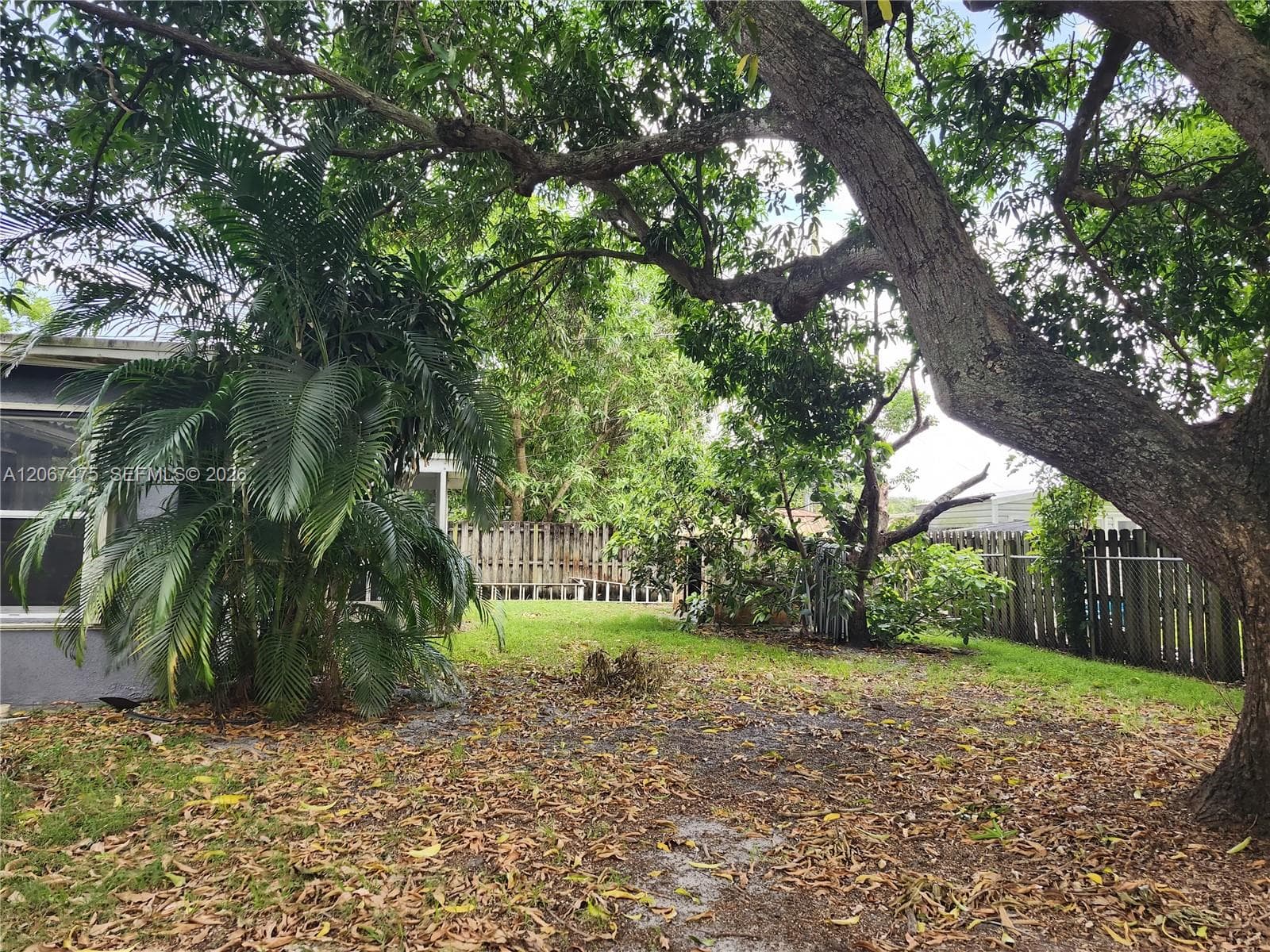 6570 Thomas St, Hollywood FL 33024 photo 3