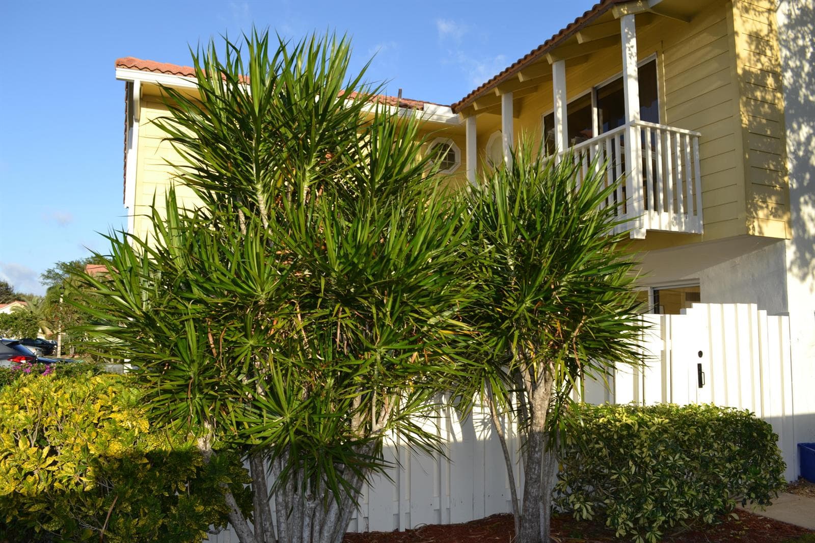 176 Seabreeze Circle, Jupiter FL 33477 photo 3