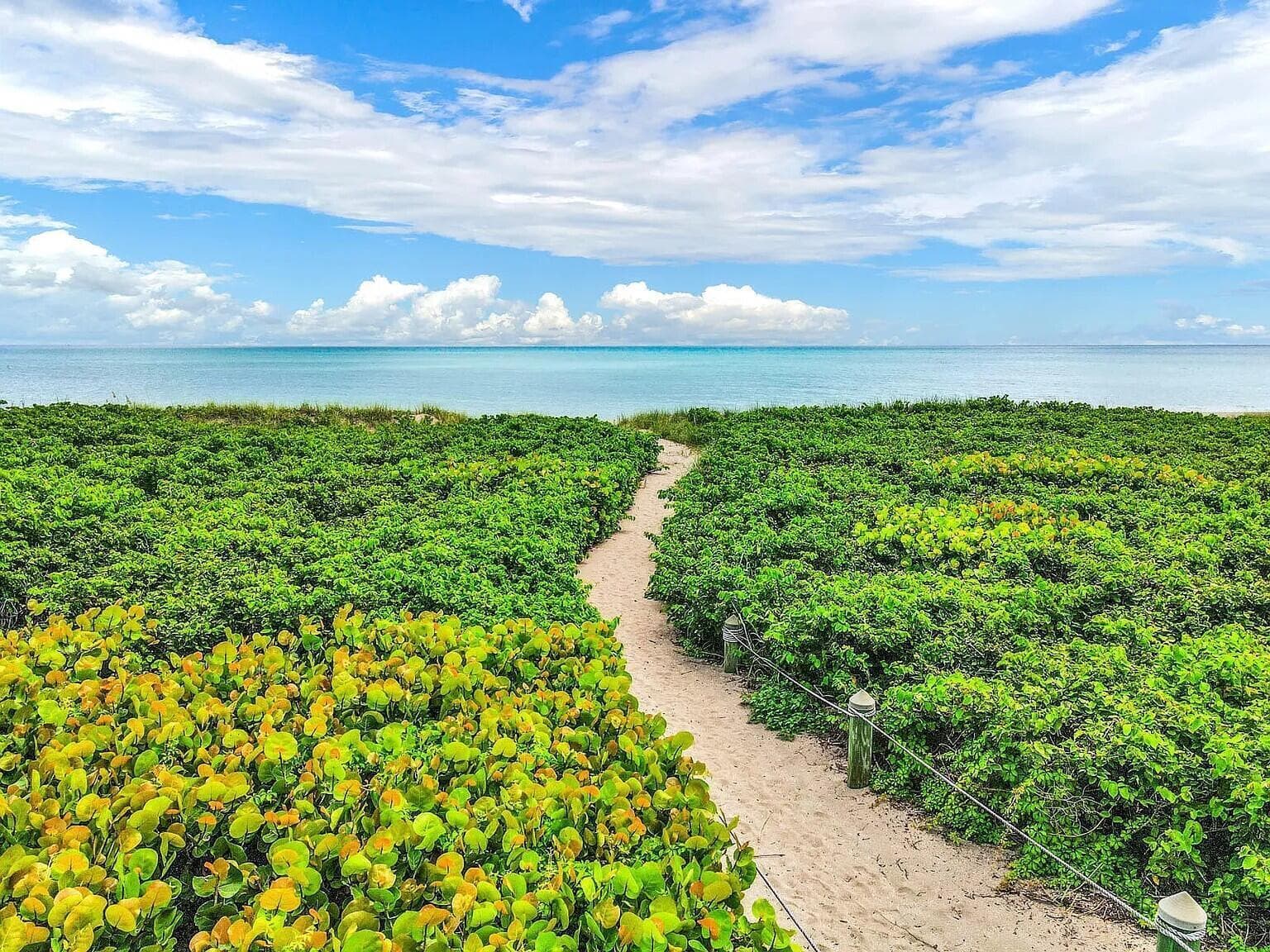 1550 S OCEAN Drive # 15, Fort Pierce FL 34949 photo 3