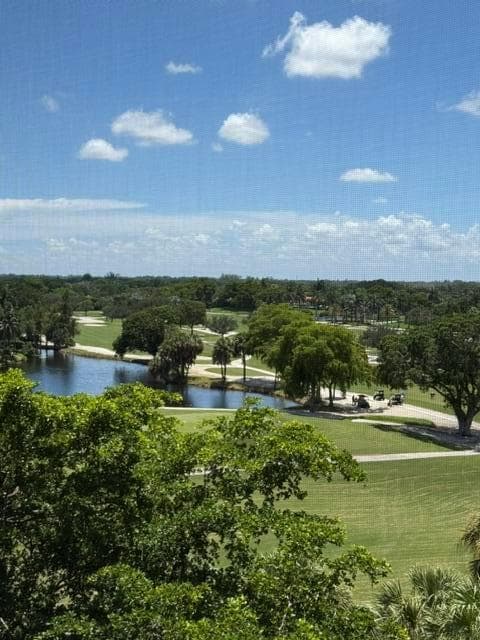 250 JACARANDA Drive # 804, Plantation FL 33324 photo 3