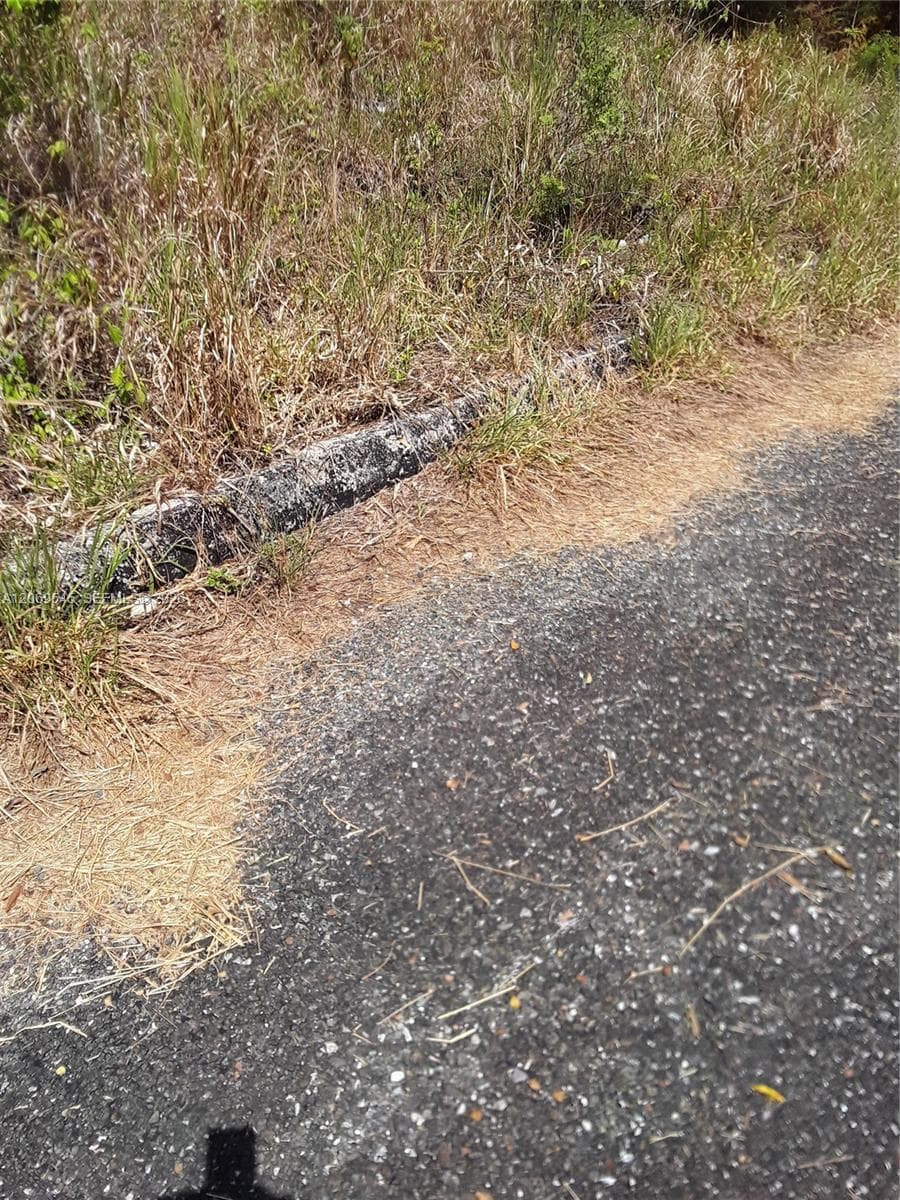 PART OF MINARD PEN NONE photo 3