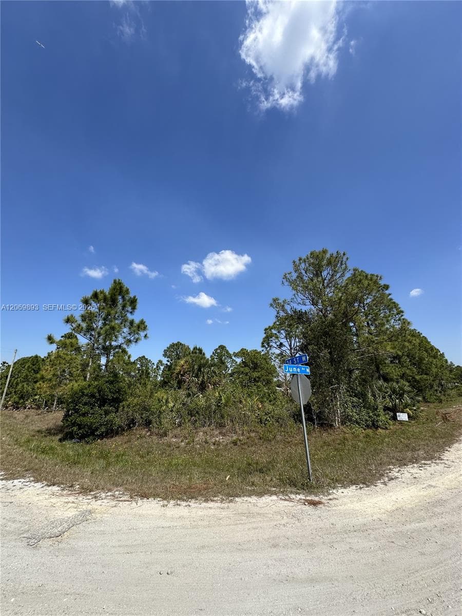 3401 June Ave N, Lehigh Acres FL 33971 photo 2