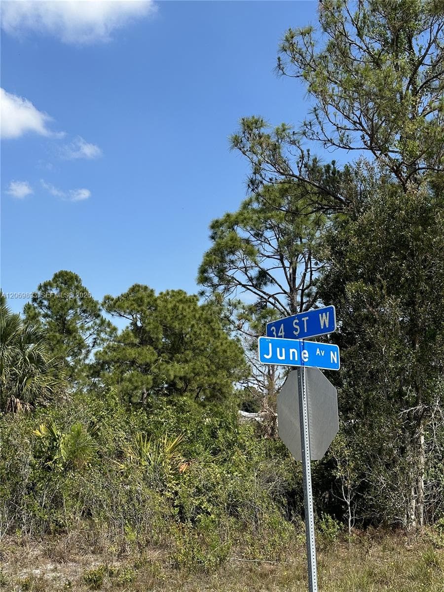 3401 June Ave N, Lehigh Acres FL 33971 photo 3
