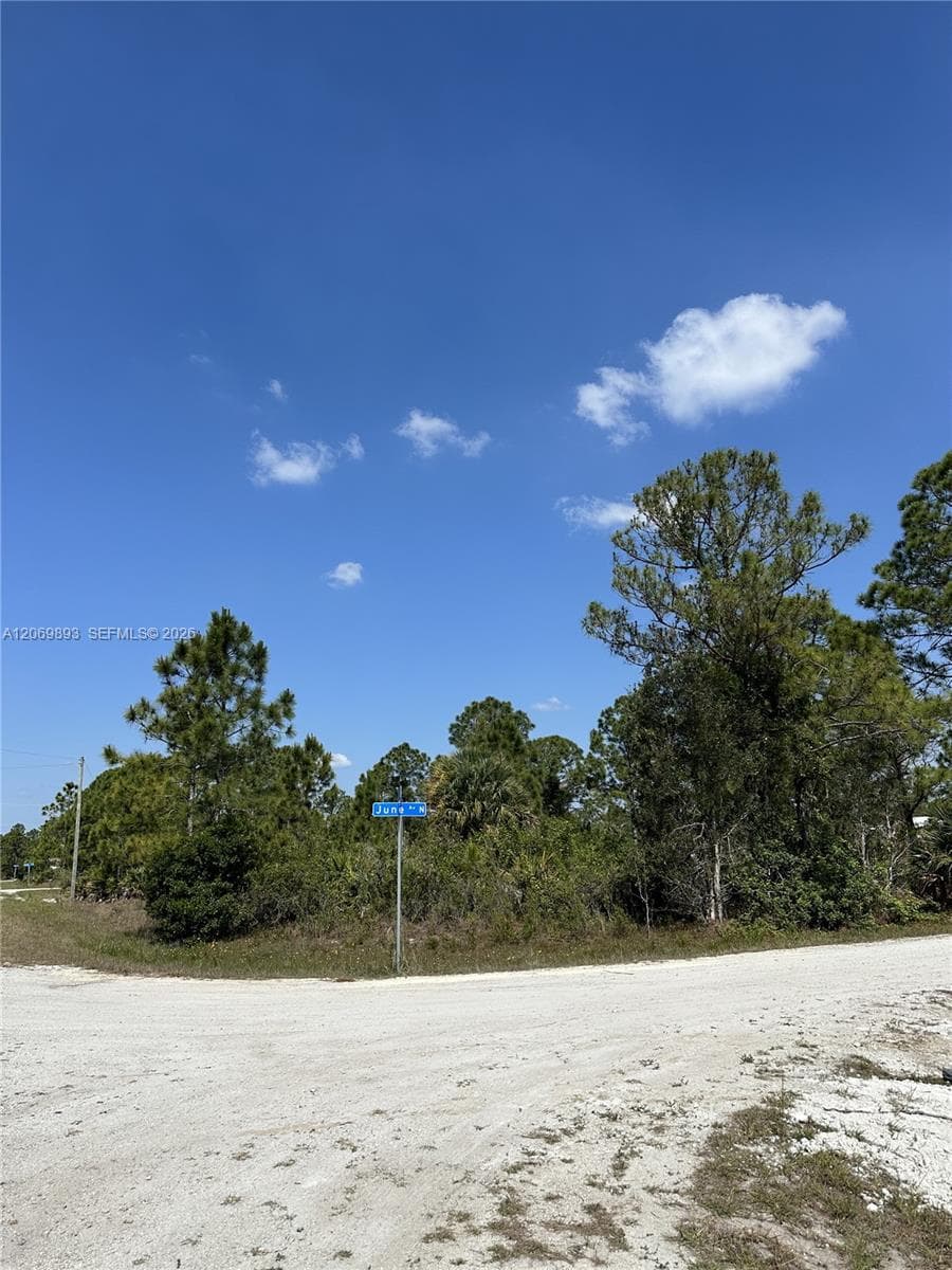 3401 June Ave N, Lehigh Acres FL 33971 photo 5