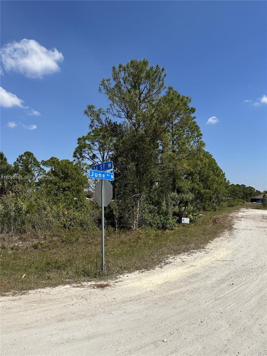 3401 June Ave N, Lehigh Acres FL 33971 photo 4