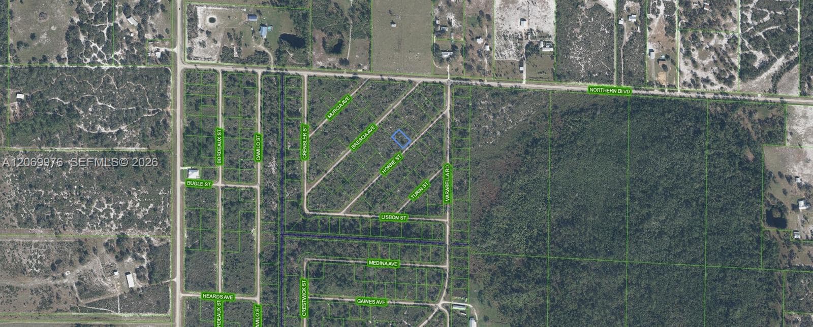3451 Lake June, Lake Placid FL 33852 photo 2