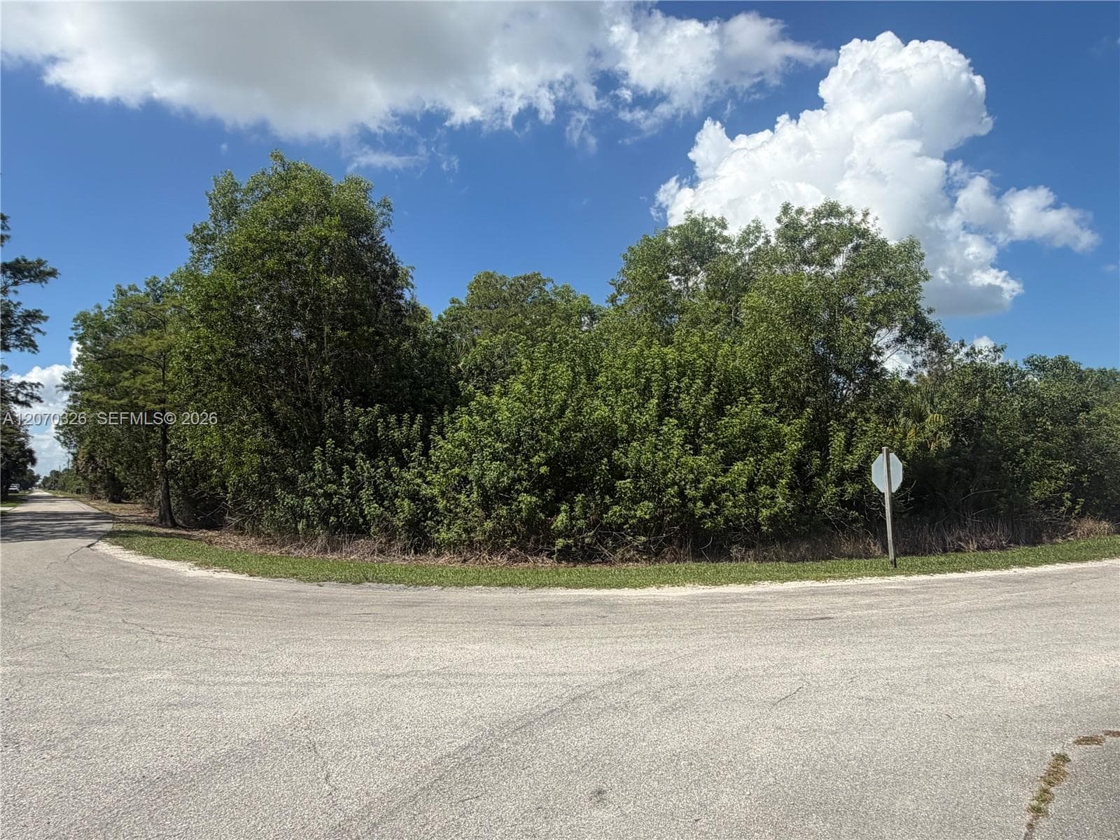 19556 Black Falcon Rd, Loxahatchee FL 33470 photo 3