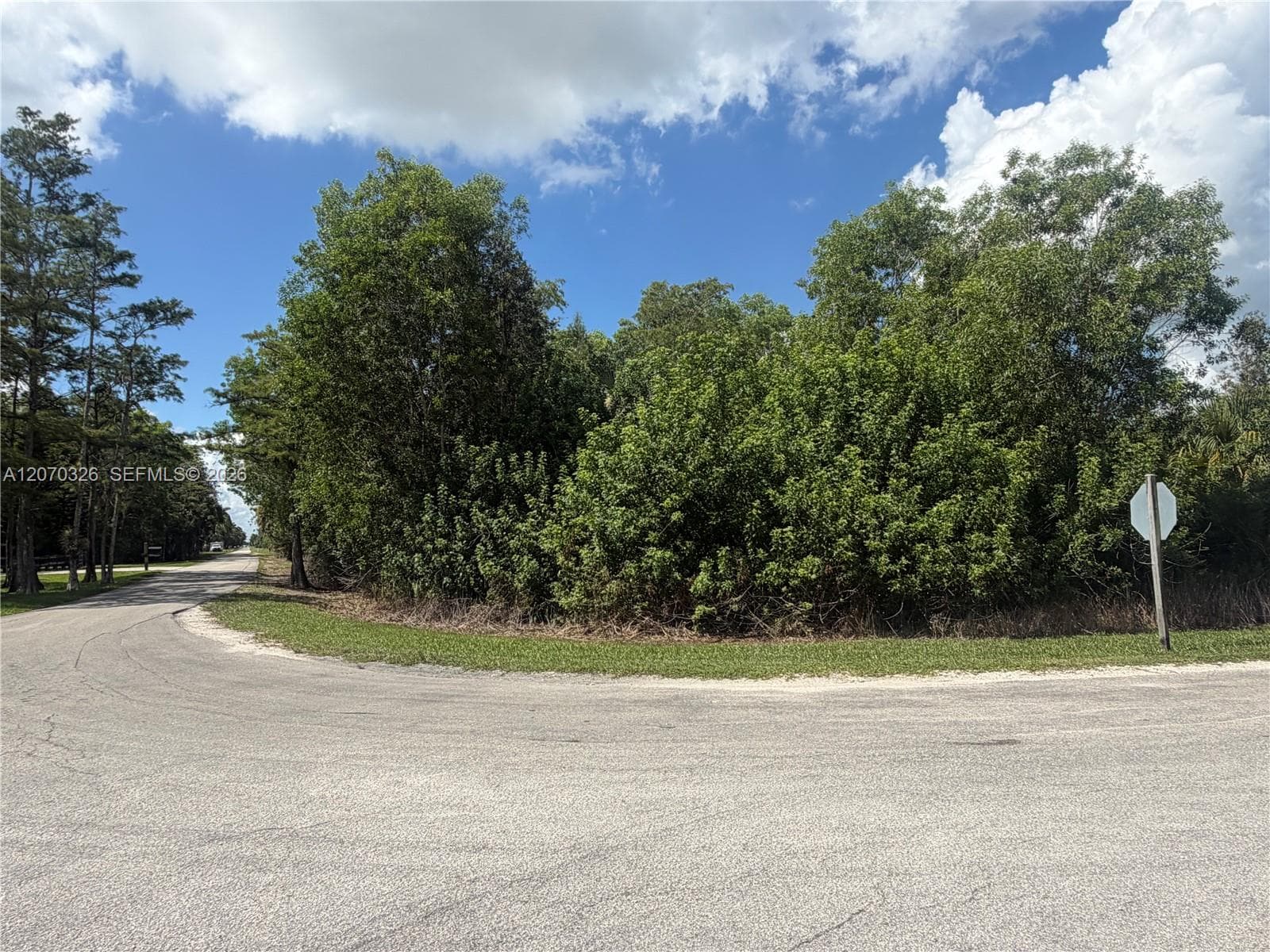 19556 Black Falcon Rd, Loxahatchee FL 33470 photo 4