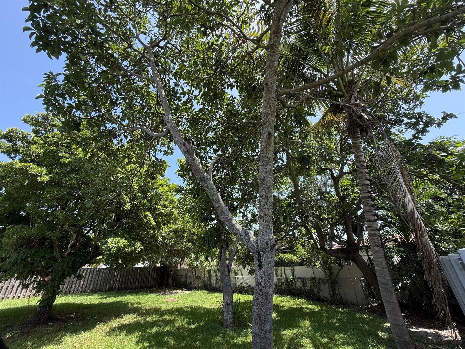 637 SW 2ND Street, Hallandale Beach FL 33009 photo 4