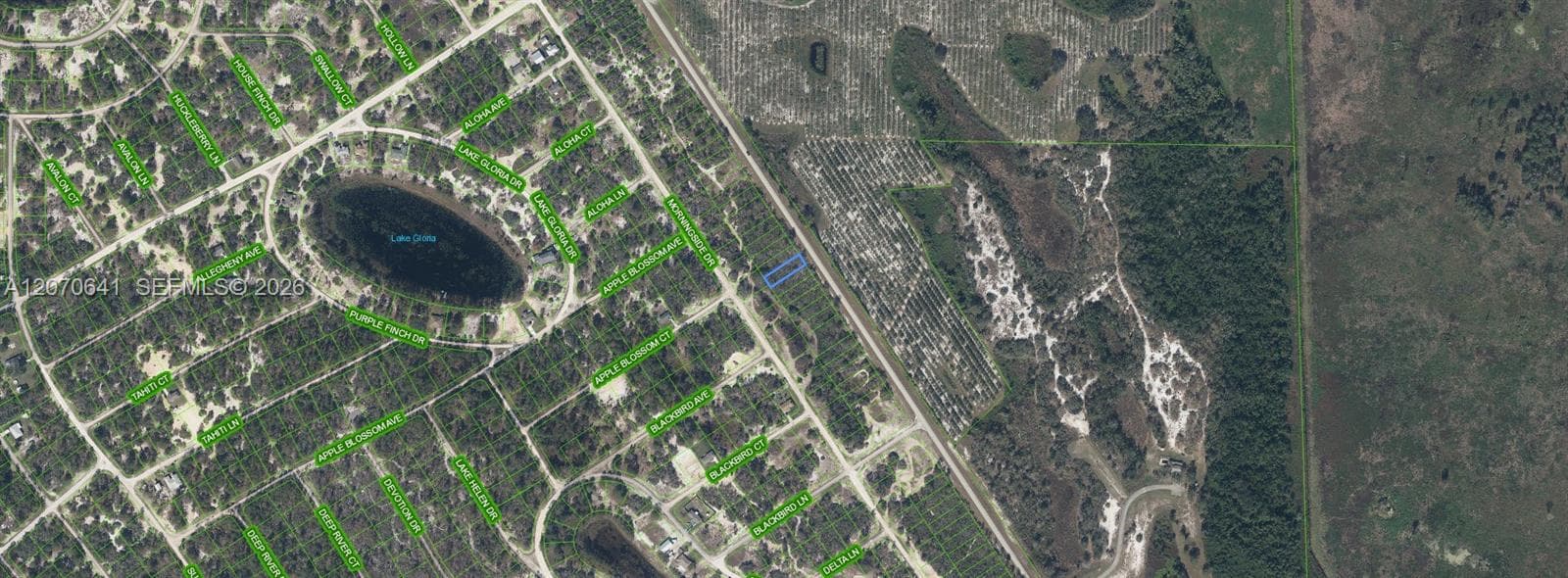 903 COUNTY ROAD 29, Lake Placid FL 33852 photo 3