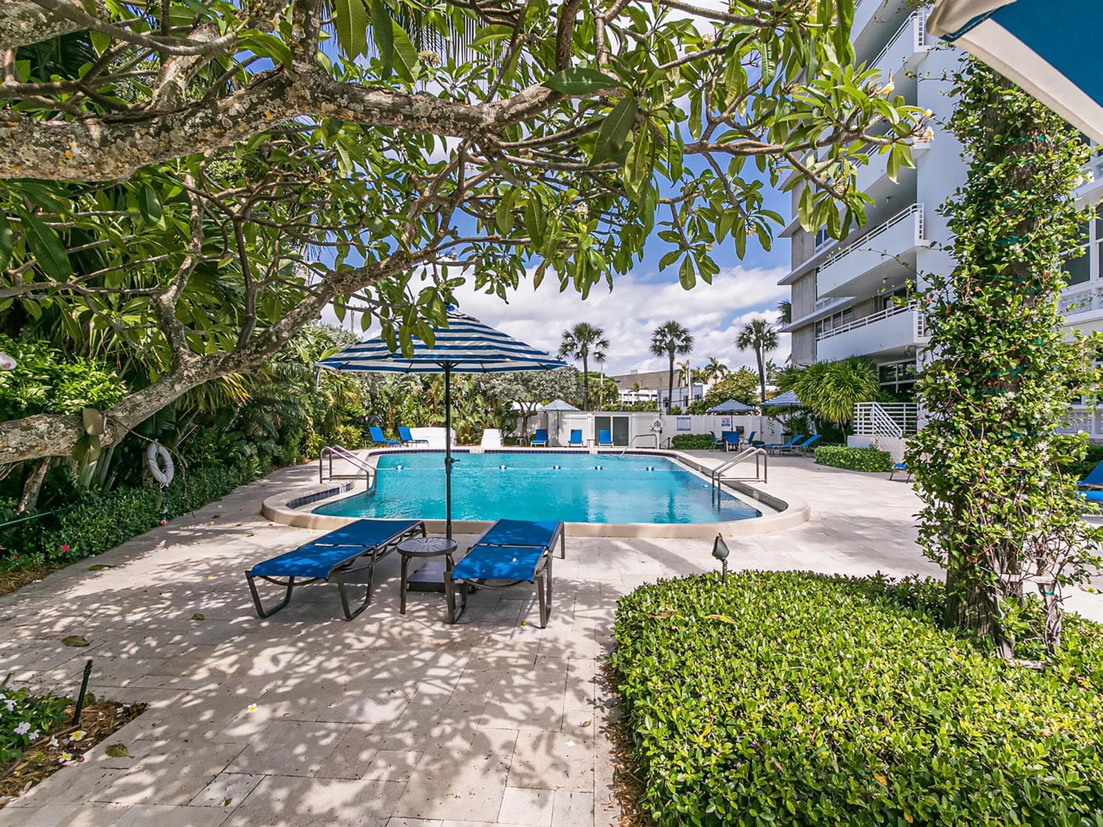 888 INTRACOASTAL Drive # 3D, Fort Lauderdale, FL 33304 photo 5