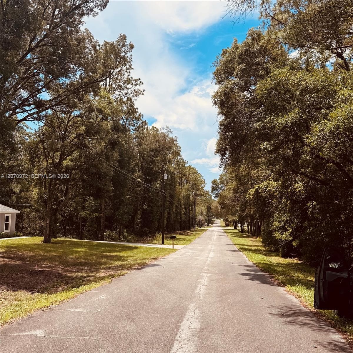 Undetermined SW 54 Street, Other City - In The State Of Florida FL 34431 photo 3