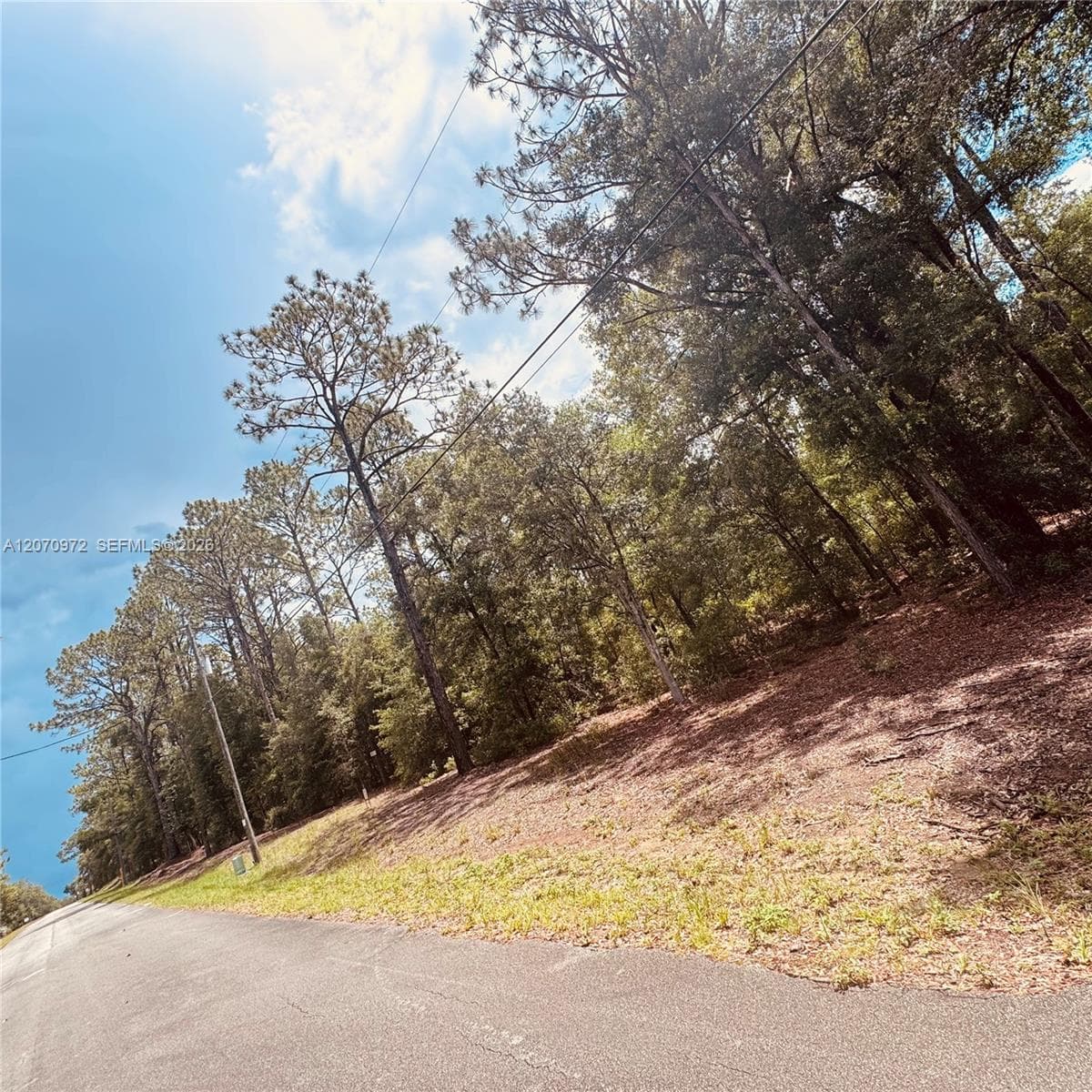 Undetermined SW 54 Street, Other City - In The State Of Florida FL 34431 photo 5