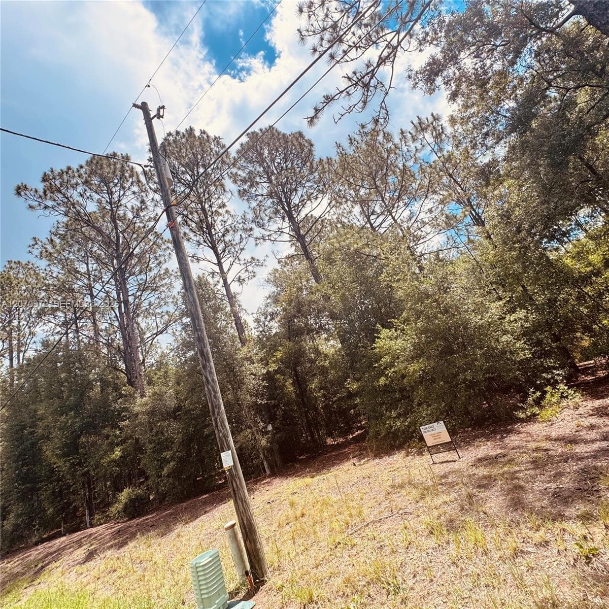 Undetermined SW 54 Street, Other City - In The State Of Florida FL 34431 photo 4